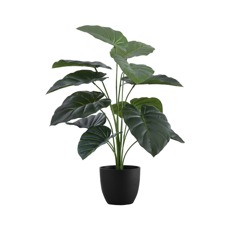 Plante artificielle - Alocasia Intérieur Pot 5'' - Monarch (I 9578)