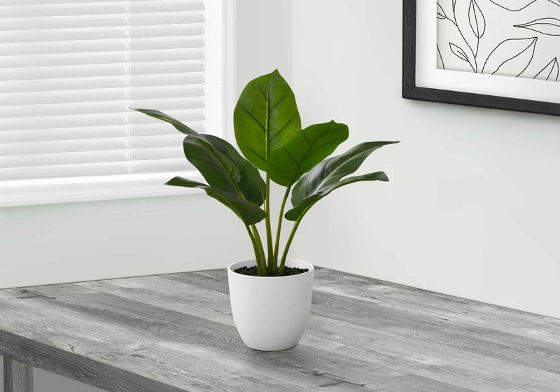 Plante artificielle - Aureum Intérieur Pot 5'' - Monarch (I 9502)