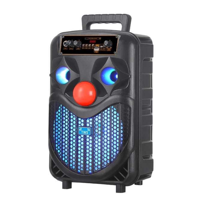 Haut-parleur festif 8'' extra basse (NDR-P66)